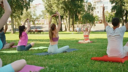 Group Yoga Stretching in Park