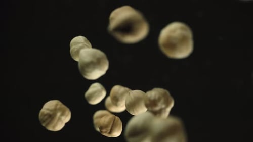 Hazelnuts Falling in Slow Motion on Black Background