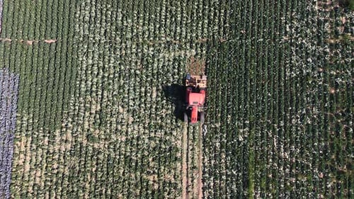 Farmworker riding tractor tilling plowing the earth. Preparation to cultivate in agricultural field