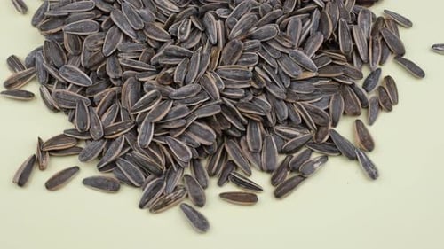 sunflowers seeds close up