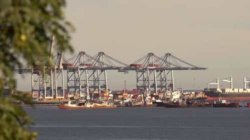 Nahaufnahme des Hafens hinter einem Baum, Luftaufnahme. Kräne, Container und verlassene kaputte Boote