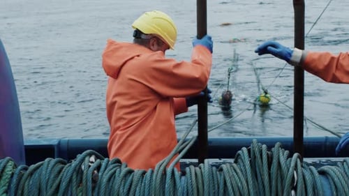 Fisherman Works on Commercial Fishing Ship that Pulls Trawl Net