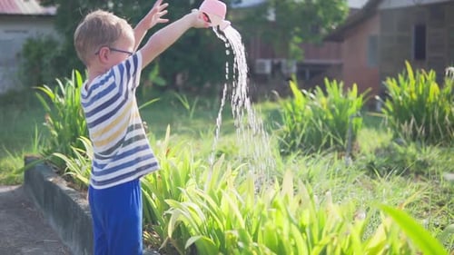 Little boy in glasses is watering plants in a garden
