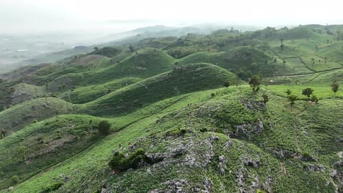 Aerial footage of panoramic green hill landscape