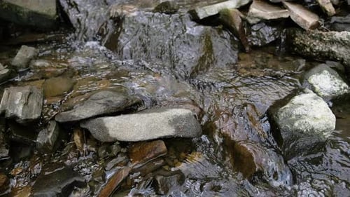 River flowing in forest from waterfall on rocks