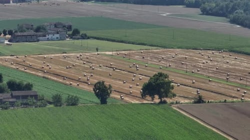Hay bales zoomed in the Piacenza countryside