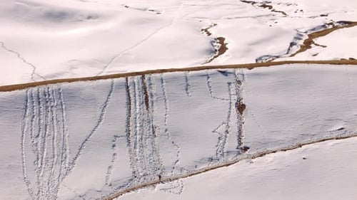 Man Walking Snowy Path in Winter Landscape