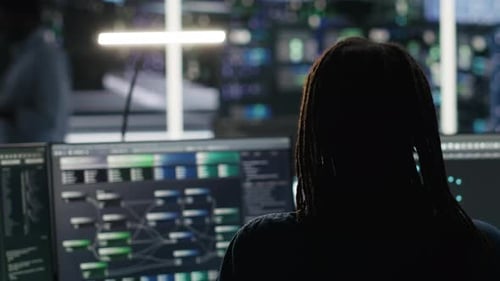 Data Center Computer Scientist Using Node Tree Software to Analyze Datasets