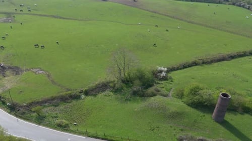 Aerial drone view of single tower in rural England Countryside with horses in green fields sunny Spr