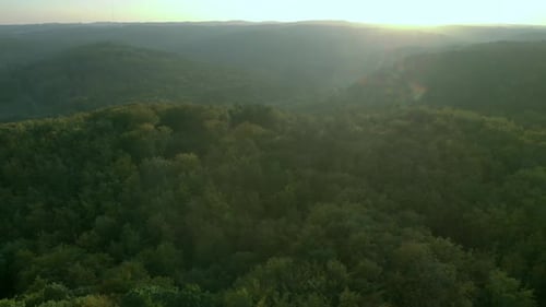 Aerial drone shot along the tall green trees in the forest. In the background the sun goes down.