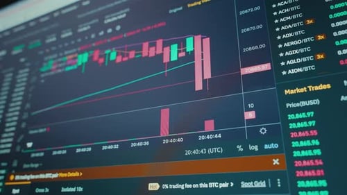 View of the Monitor with Graphs of Price Changes in the Stock Market