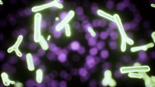 Viewing the Navirus Under a Digital Microscope
