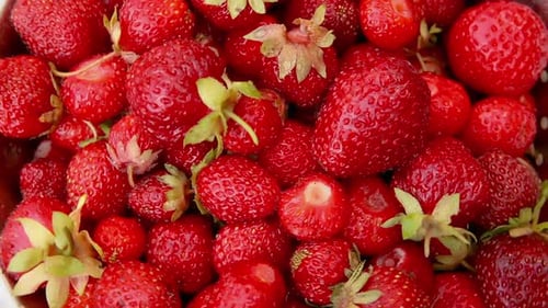 Reife rote Früchte Erdbeeren rotieren Makro Extreme Nahaufnahme