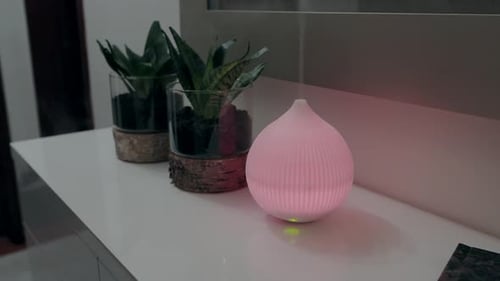 Aromatherapy Diffuser on Shelf with Potted Plants