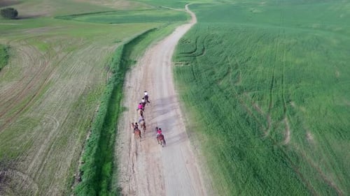 Reiten in einem grünen Gelände der Badlands, Luftaufnahmen