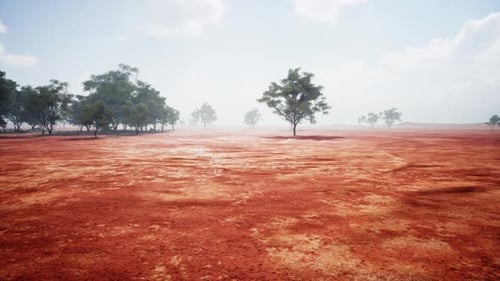A Scenic Landscape with Trees in a Rural Field