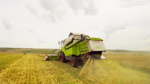 Combine Harvesting Wheat in Golden Rural Field
