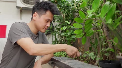 Young Asian Man Using Garden Shovel To Dig Soil. Close-up Shot