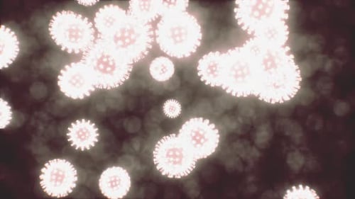 Viruses Under the Microscopic View for Education