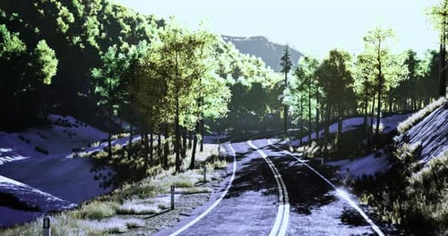 Serene Winding Road Through Lush Green Landscape During Bright Daytime