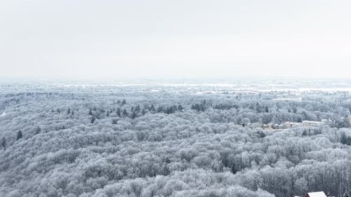 Aerial View of Snow-Covered Forest in Winter
