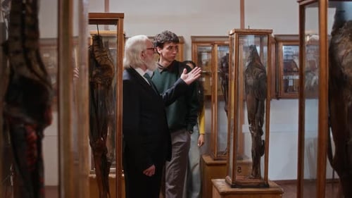 Mature Professor Guiding Museum Tour for Diverse Students