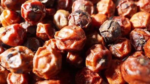 Dans une vidéo macro captivante, les grains de poivre rouge éclatants occupent le devant de la scène.