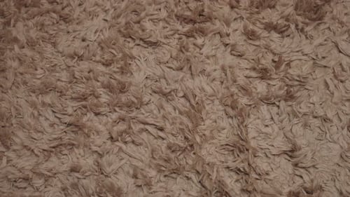 Close Up of Taupe Colored Shag Carpet