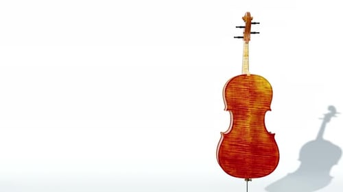 360 Degree Rotating Cello Musical Instrument on White Background
