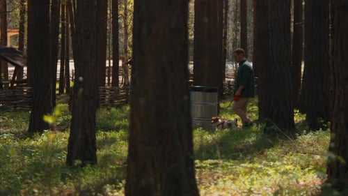 Man walks dog on leash in woods on sunny summer day