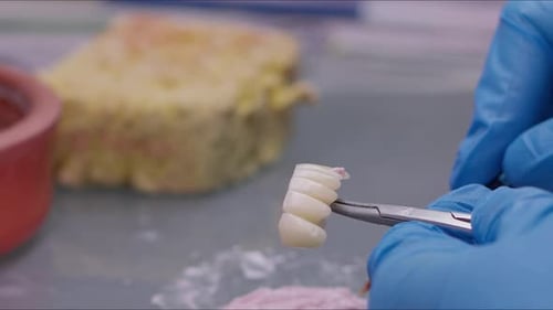 Dental Technician Applying Pink Material to False Teeth
