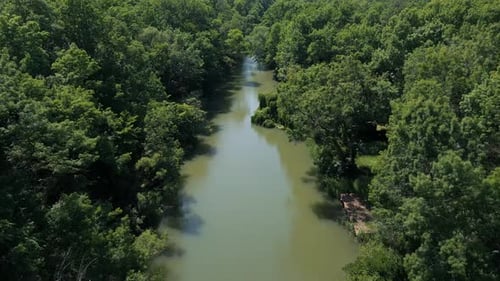 Aerial View of the Kamchia River Surrounded By Dense Green Forest in Summer Serene Waterway Flowing