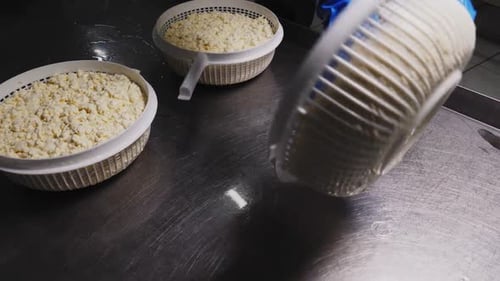 Worker Turns Raw Cheese Over Metal Table in Workshop Closeup