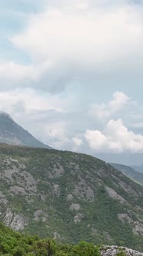 Vertical Video Aerial Perspective of RainKissed Green Landscape Cinematic Journey Through Nature's