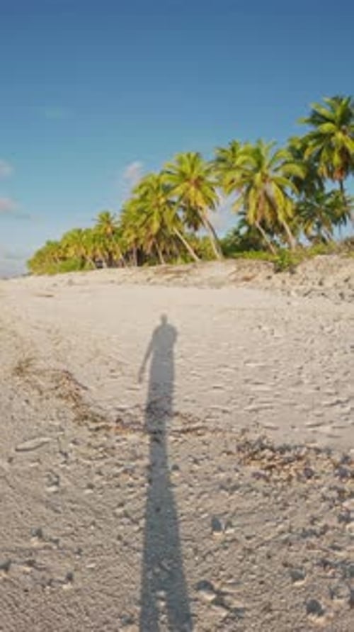 Walking First View Person on Tropical Beach with Coconut Palms on Sunny Day Vertical Footage