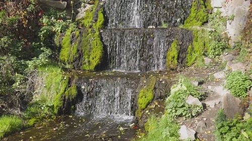 A small cascading waterfall flows over moss-covered rocks, surrounded by lush green plants