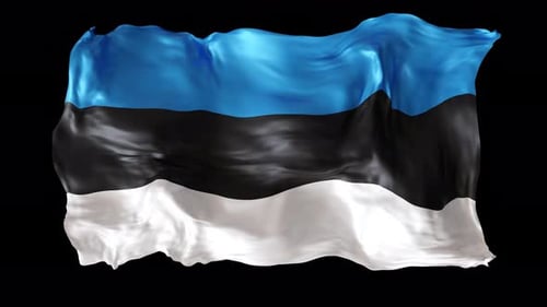 Realistic Waving Flag of Estonia Seamless Loop