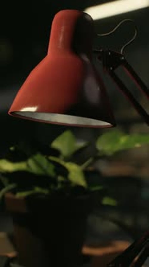 A Desk Lamp Sitting on Top of a Wooden Desk