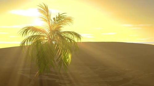 Desert Sunset with Palm Tree and Golden Sun Rays