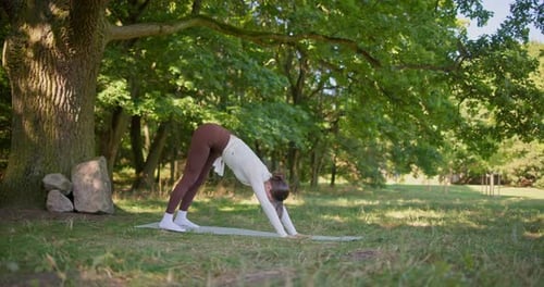 Young Beautiful Athletic Woman in Sportswear Doing Stretching and Warming Up in the Park Near a Tree