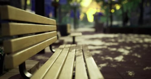 Wooden Bench Under Dappled Sunlight in a Serene Park Setting During Afternoon