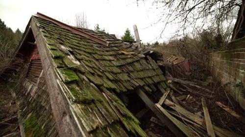 Slow dolly down of a collapsed abandonded building on the grounds of an insane asylum, moss covered