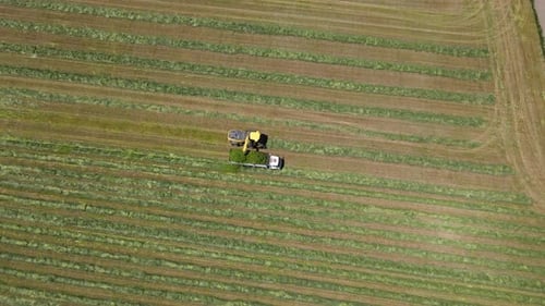 Industrielle Landwirtschaft