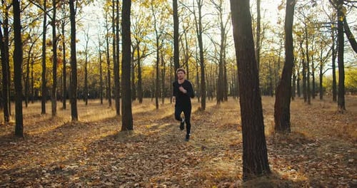 Man Running Through Autumn Woods on Sunny Day