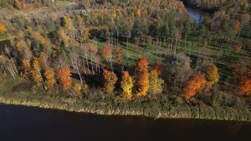 Autumn colors reflecting on the serene river bank in early afternoon