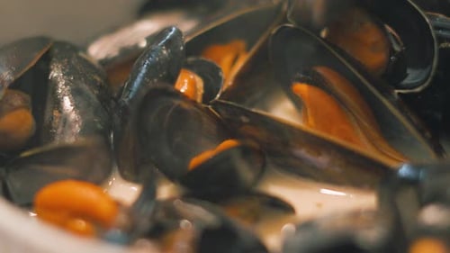 Close Up of Cooked Mussels in White Wine Sauce Ready to be Eaten with Hands