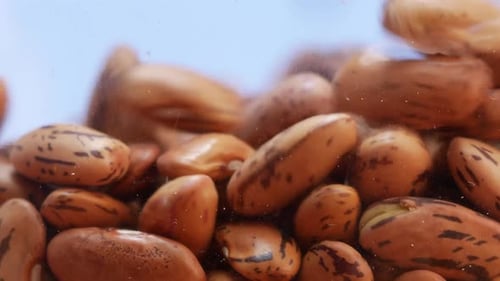 A pile of brown beans with black spots. Close-up of brown and black bean pile