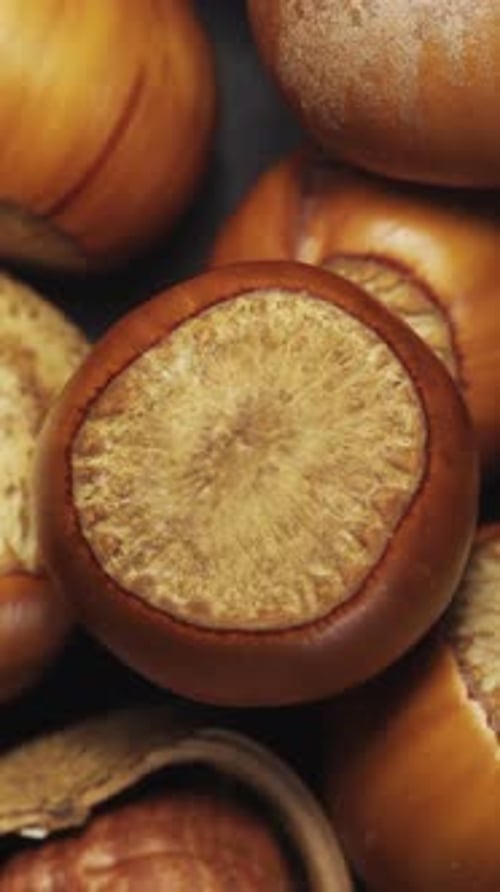 Hazelnuts on a black background rotate in a heap with other nuts. Close-up. View from above. Vertica