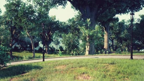 Serene Park Pathway Surrounded By Lush Greenery on a Sunny Day