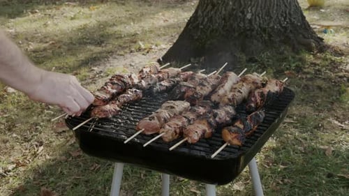 Skewers of Meat Cooking on Grill Outdoors
